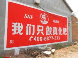武平刷墙广告”蕴含了时代命题