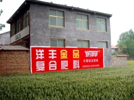 武平如何让墙体广告展现最大化效果