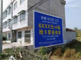 武平墙体广告质量分析