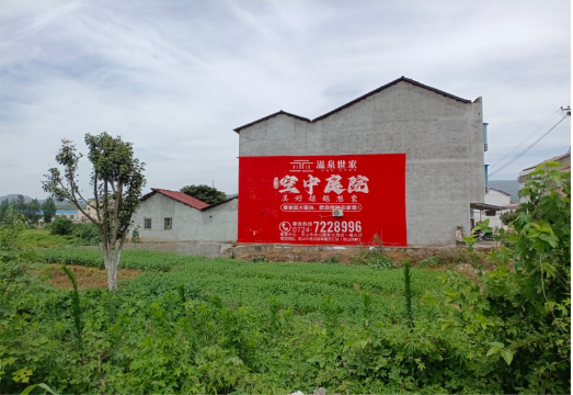 武平做墙体广告的意义