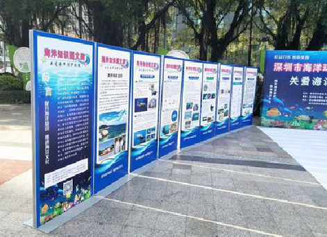 武平KT板的种类和知识。